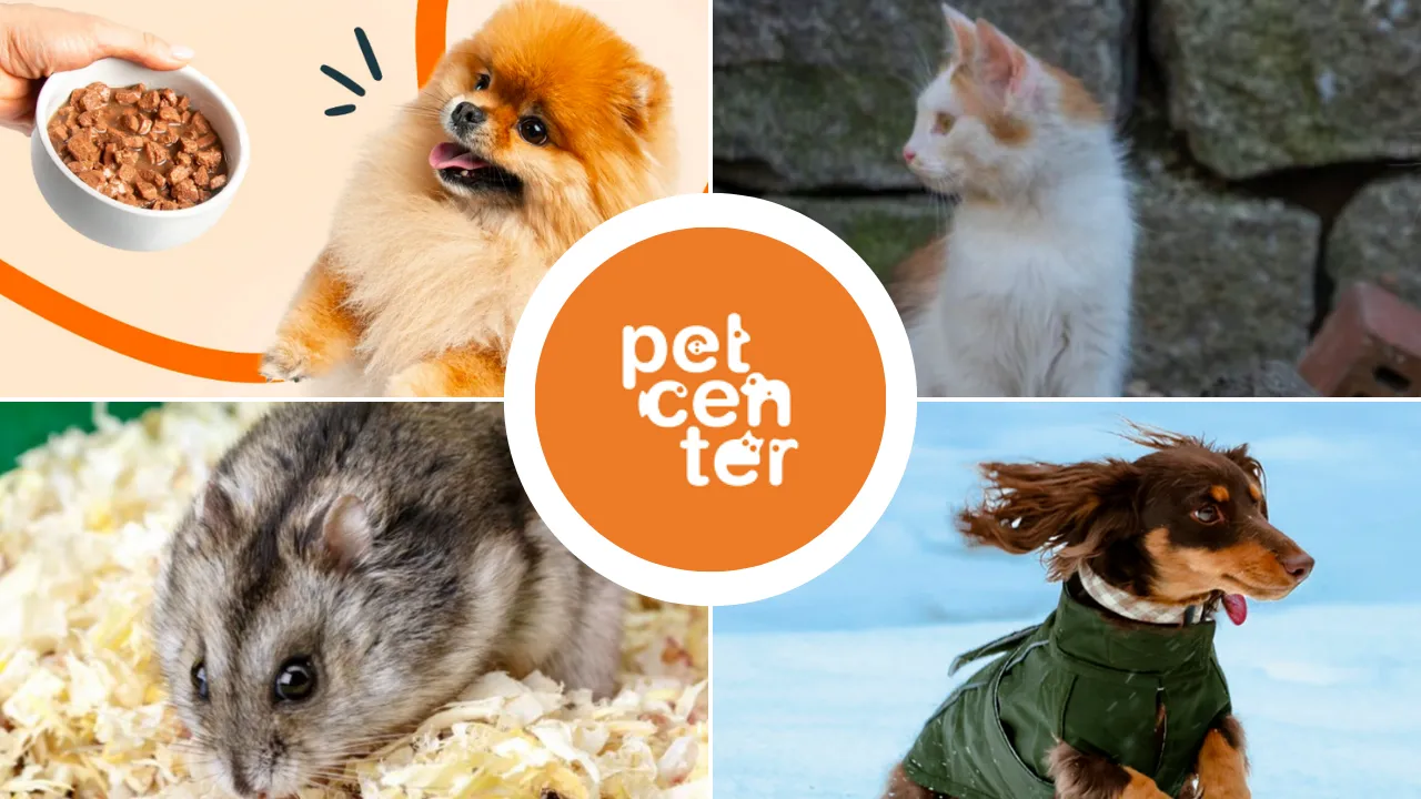 Petcenter.cz: Chovatelské potřeby a krmivo pro domácí mazlíčky