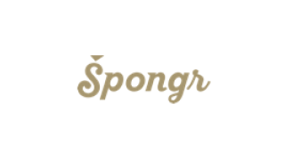 Špongr